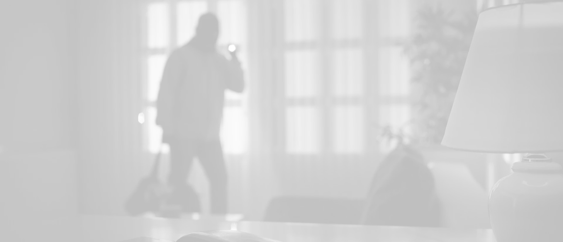 Robo, Hurto y Vandalismo